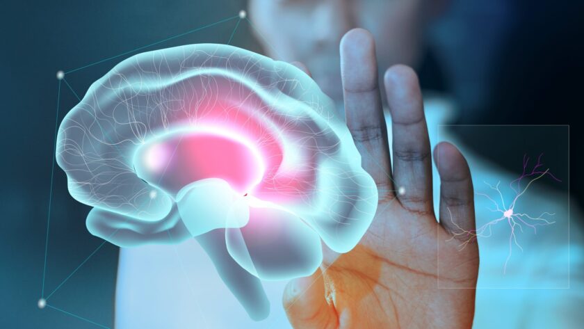 comment-partager-donnees-imagerie-depot-recherche