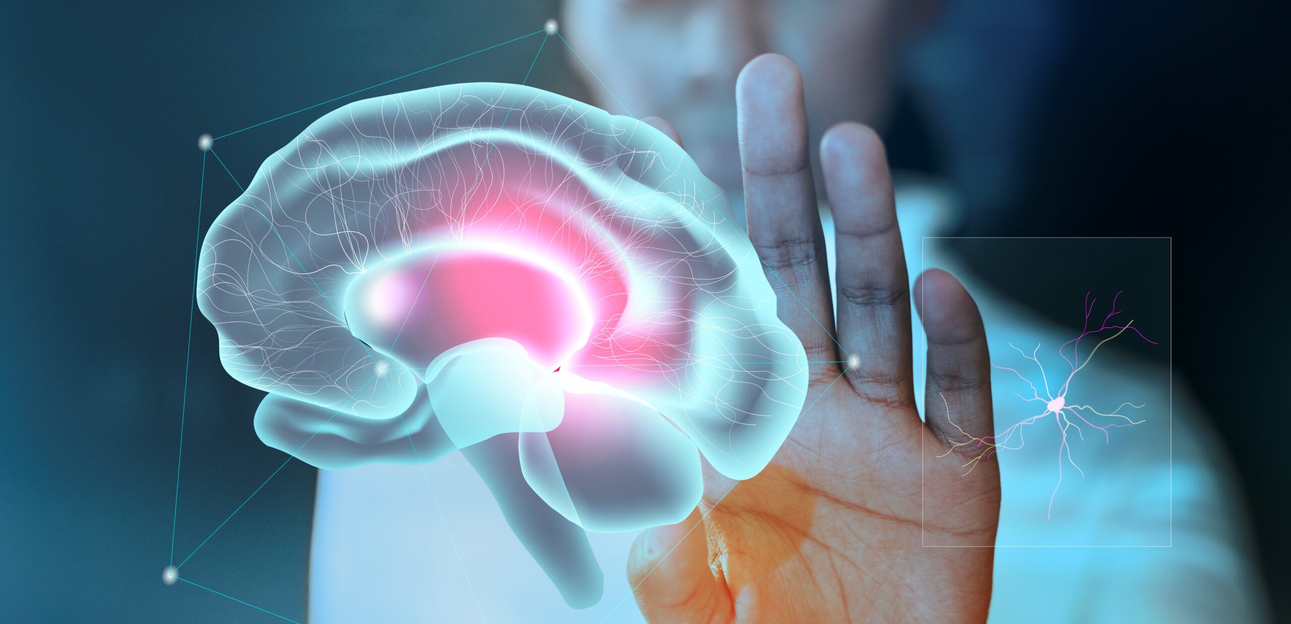 comment-partager-donnees-imagerie-depot-recherche